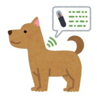 マイクロチップ装着犬イメージ