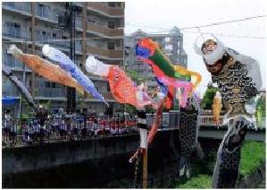 天竺川の清掃と「天竺川鯉のぼり風舞いフェア」の実行の写真