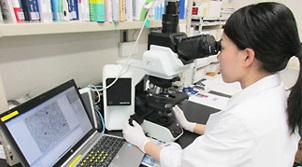 血液検査の様子
