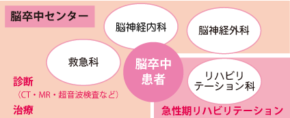 脳卒中センターでは、救急科・脳神経内科・脳神経外科が連携して、CT・MR・超音波検査などから診断し、治療を行っています。また急性期リハビリテーションとしてリハビリテーション科とも連携して、脳卒中患者さんをサポートしています。