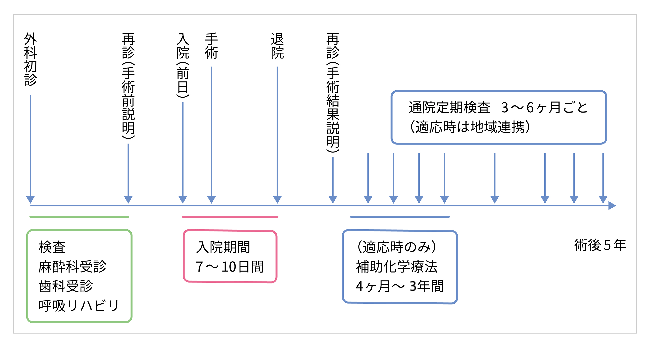 肺がん（肺葉切除）の手術前後の標準日程図。詳細は下記にて解説しています。