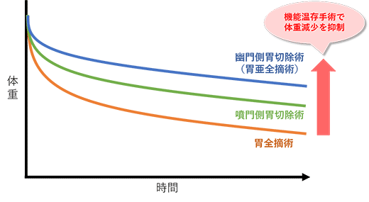 画像は、術式別の体重減少のイメージを表す曲線のグラフです。時間が経過するにしたがって体重がどのように減少していくのかを視覚的に表しています。胃全摘術は術後早期に大きく体重が減少し、そこからも徐々に減少していきます。幽門側胃切除術（胃亜全摘術）は早期の体重減少が比較的少なく、そこから徐々に減少しますが胃全摘術ほど減少しません。噴門側胃切除術は幽門側胃切除術と胃全摘術の中間くらいの体重減少です。したがって、機能温存手術で体重減少を抑制できていることがわかります。