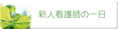 新人看護師の一日