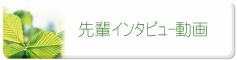 先輩インタビュー動画