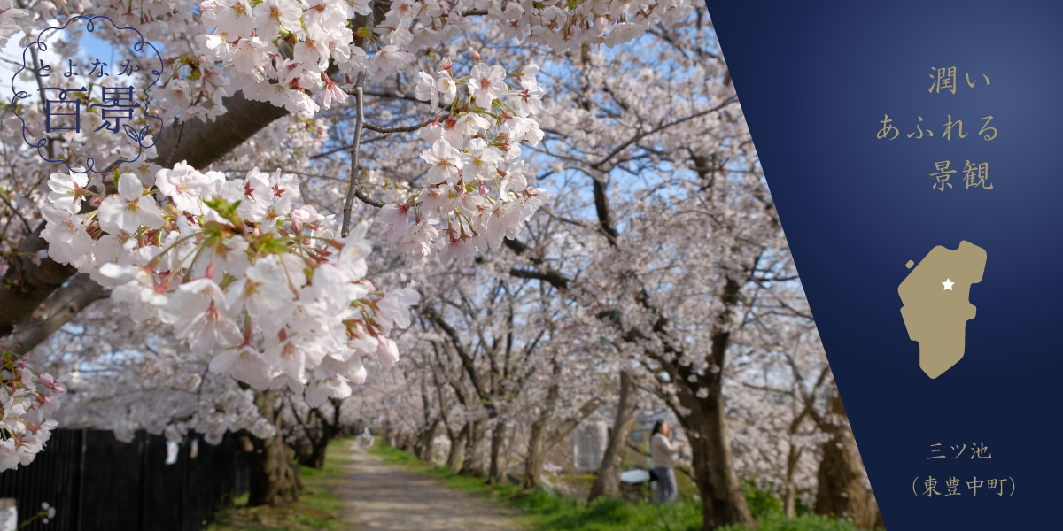 とよなか百景へのリンク