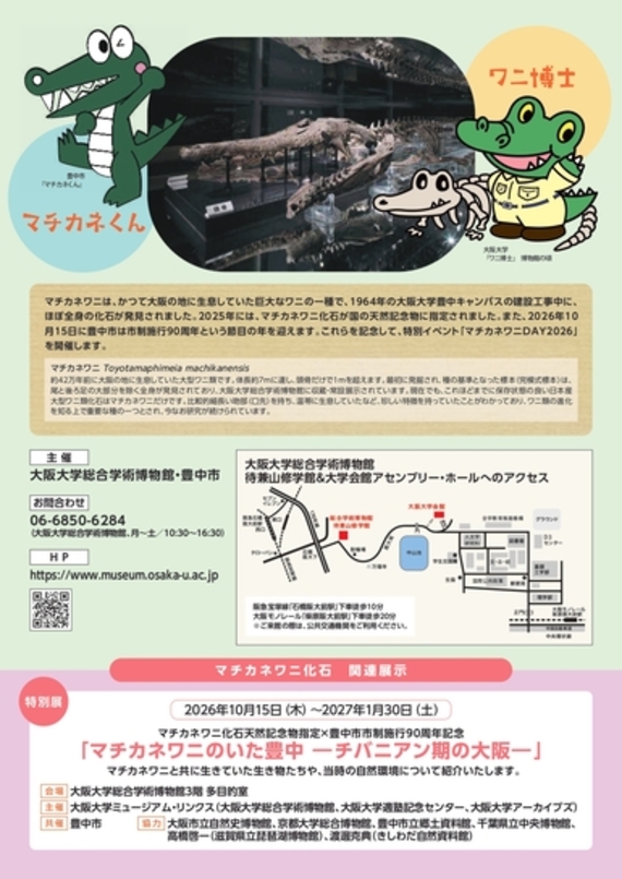 チラシ裏面