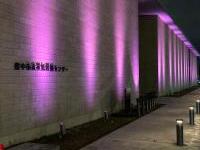 ライトアップの様子