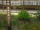 原爆被爆者植樹　長崎市花（アジサイ）