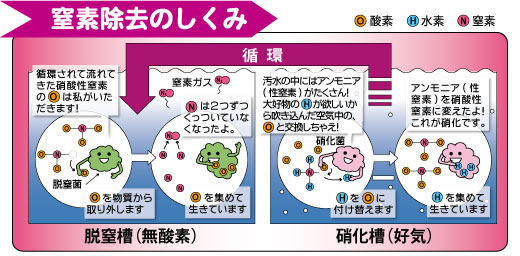 窒素除去の仕組み