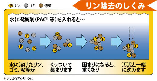 リン除去の仕組み