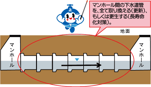 更新と更生