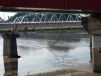 橋の底面に流木が挟まっており、橋脚の高さを超えて熊野川が増水した様子がうかがえます
