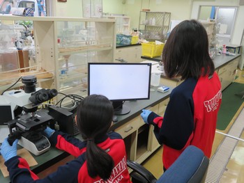 二人でプレパラートにつけた微生物を顕微鏡で見ている