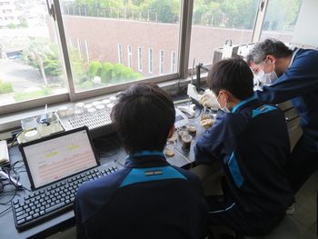 水質検査の様子