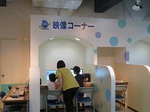 施設内の水のワンダーランド