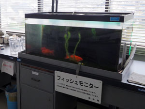 フィッシュモニター