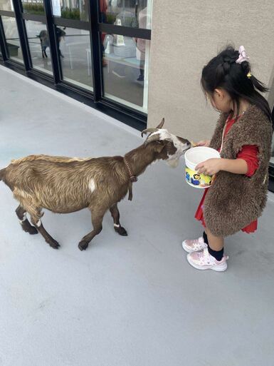 ヤギと子ども