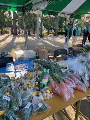 陳列された野菜