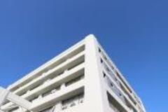 庁舎見学の画像