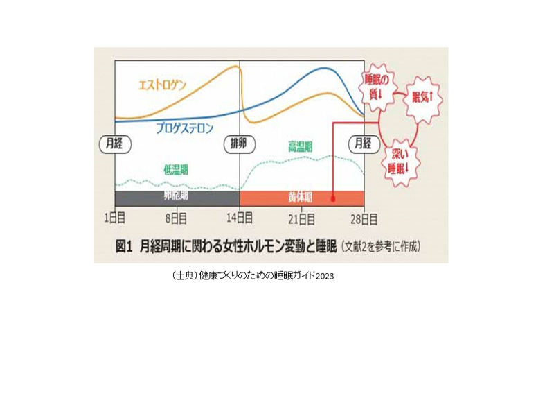 月経周期に関わる女性ホルモン変動と睡眠