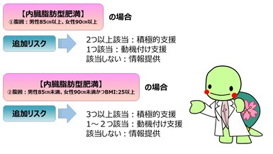 腹囲が男性85センチメートル以上、女性90センチメートル以上の場合、追加リスクが2つ以上該当で積極的支援、1つ該当で動機付け支援、該当しない場合は情報提供と判定されます。腹囲が上記に満たないが、BMIが25以上の場合、追加リスク3つ以上で積極的支援、1～2つで動機付け支援、該当しない場合は情報提供と判定されます。
