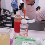 開催の様子（体験・実験）