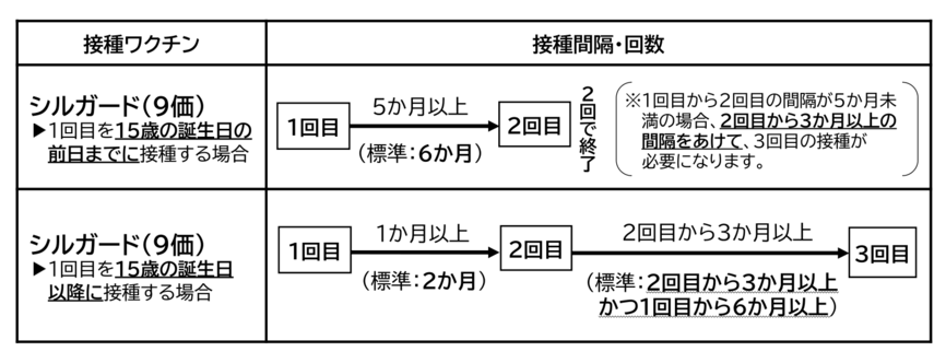 15歳の誕生日の前日までに接種を開始し、2回目まで5か月以上(標準的には6か月)の間隔をあけた場合は2回で接種を完了します。ただし、1回目から2回目の間隔が5か月未満の場合、2回目から3か月以上の間隔をあけて、3回目の接種が必要です。 15歳の誕生日以降に接種する場合は、1回目から1か月以上(標準的には2か月)の間隔をあけて2回目を接種し、2回目から3か月以上(標準的には2回目から3か月以上かつ1回目から6か月以上)の間隔をあけて3回目を接種してください。