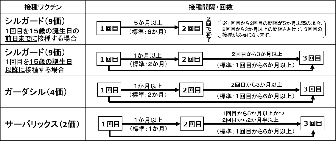 HPVワクチンの接種スケジュールです。詳細は市担当へご連絡ください。