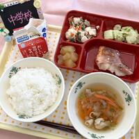 給食写真２