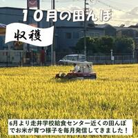 食育情報