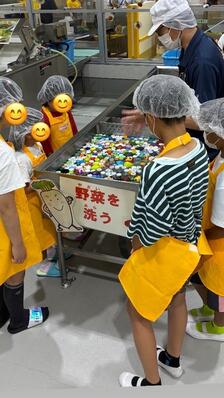 野菜洗い体験