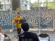 沖縄三線三上さん