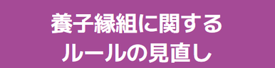 養子縁組に関するルールの見直し