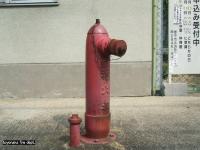 地上式消火栓の写真