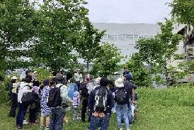 自然観察会の写真