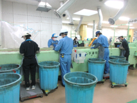 ペットボトル分別