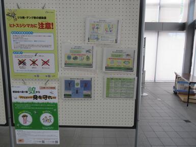 蚊についての展示コーナーの様子