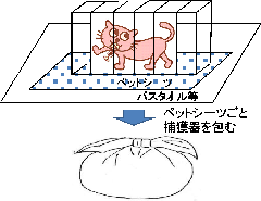 猫が捕獲されている様子