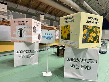 企画展示