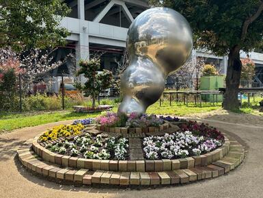 花苗P