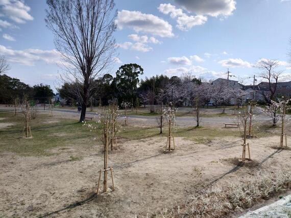 千里緑地の風景