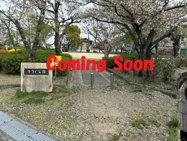 つつじ公園