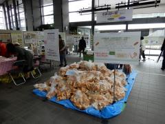 とよっぴー展写真