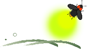 飛ぶ蛍
