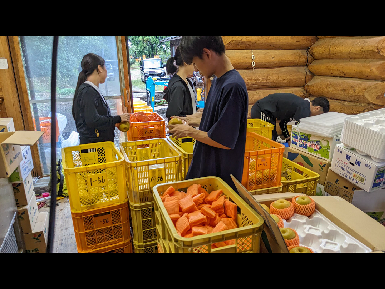 収穫した梨の梱包作業