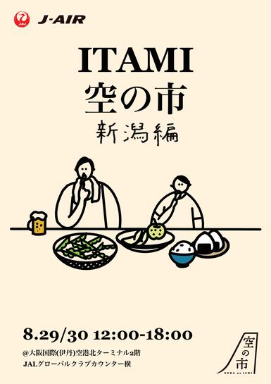 空の市チラシ