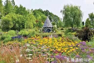 旭川市画像