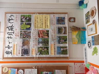 あしたの暮らしとよなか