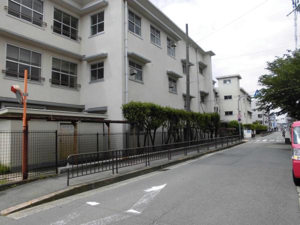 2020年6月写真