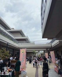 さくら縁日の写真